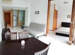 The Pier at Robertson (D9), Apartment #455959231